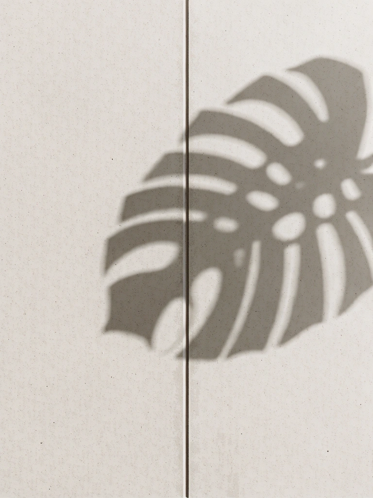 Estructura y Claridad